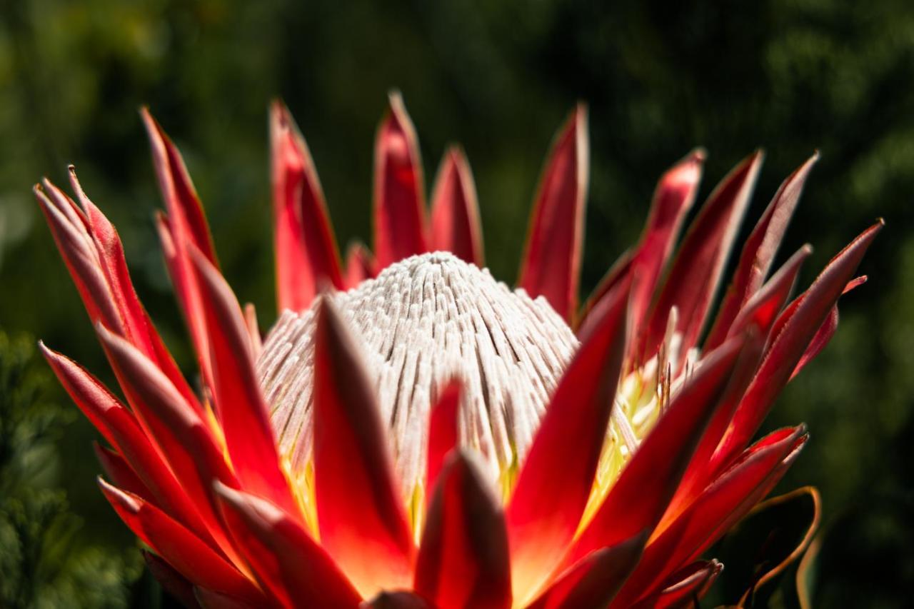 Highlandsview Villa Swellendam Buitenkant foto